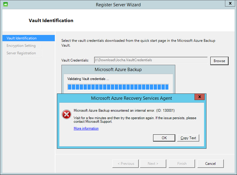 Azure Backup internal error (ID: 130001)